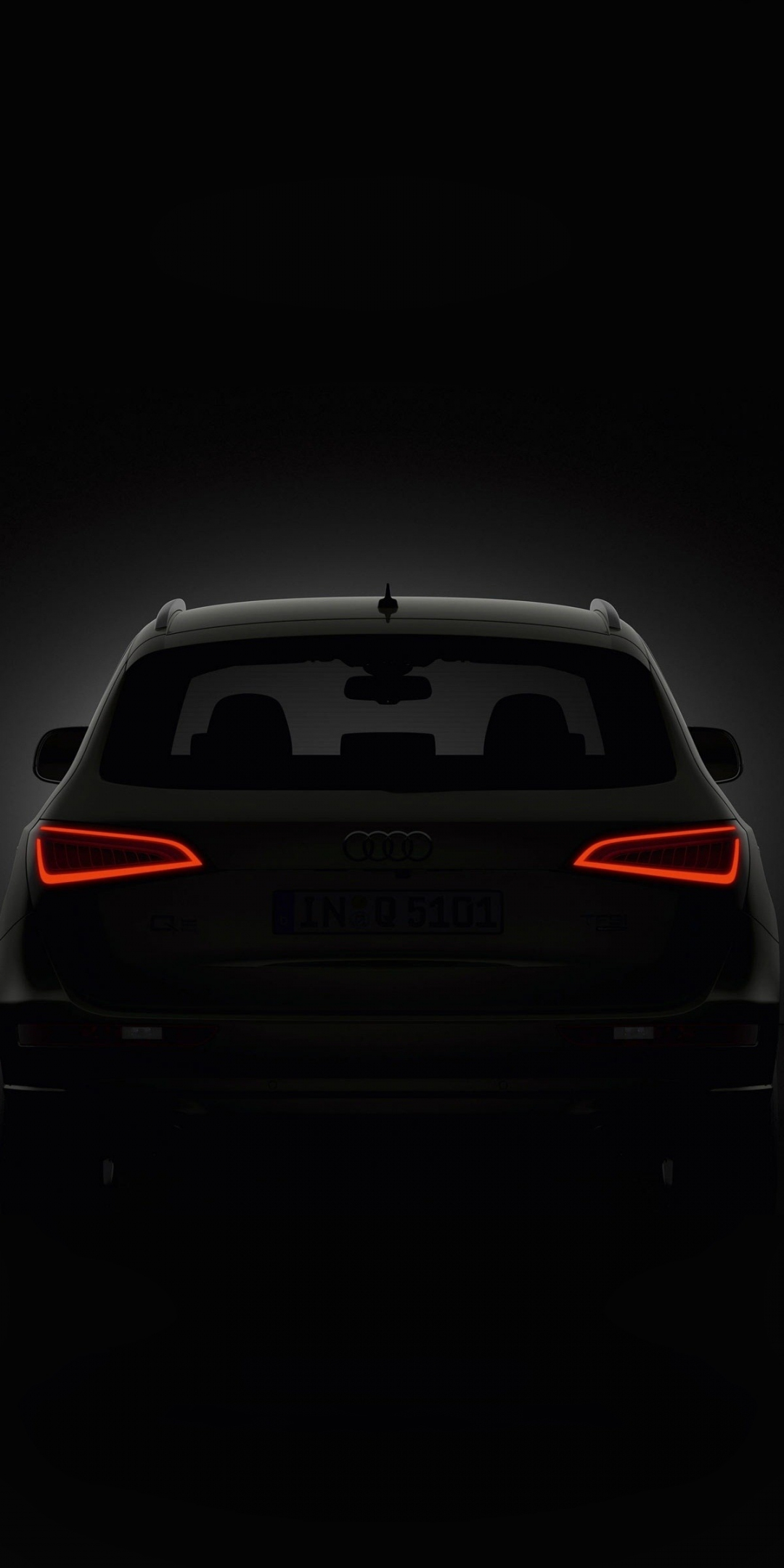 Audi Q5, rear view, portrait, 1080x2160 wallpaper