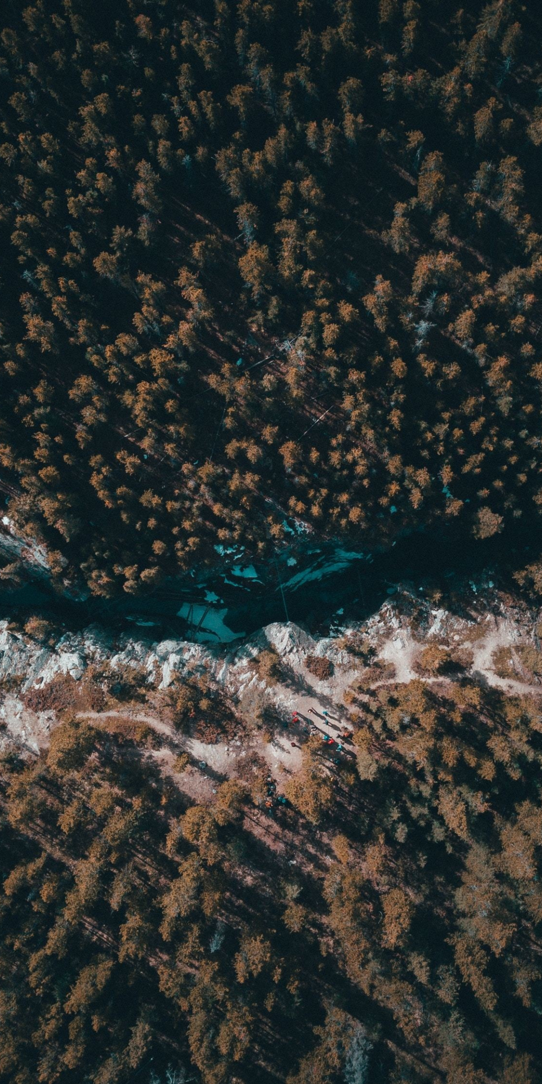 River, nature, forest, dense, aerial view, 1080x2160 wallpaper
