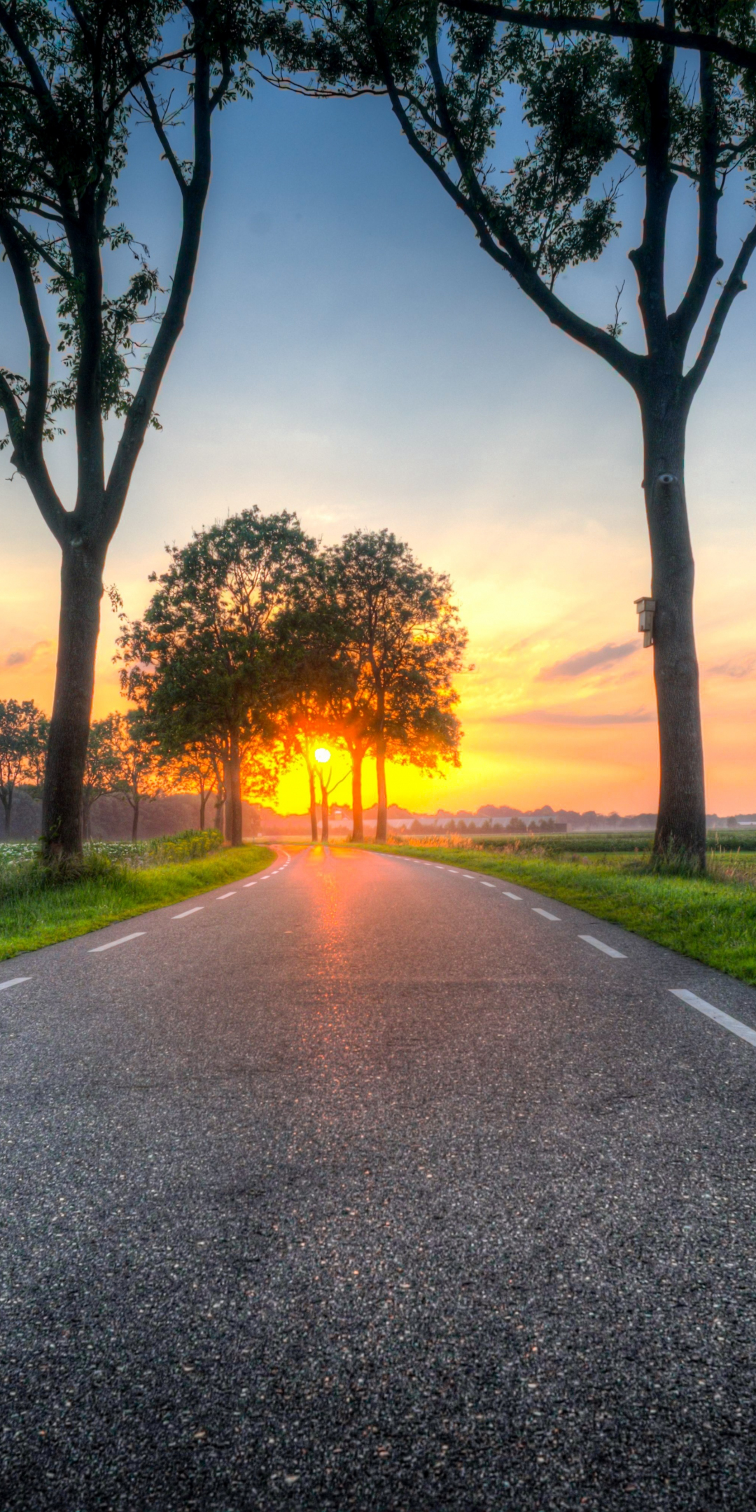 Road, highway, trees, landscape, sunset, 1080x2160 wallpaper