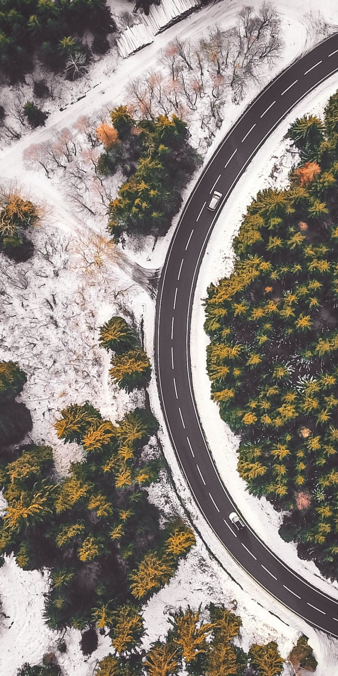 Road curve, aerial view, forest, 1080x2160 wallpaper