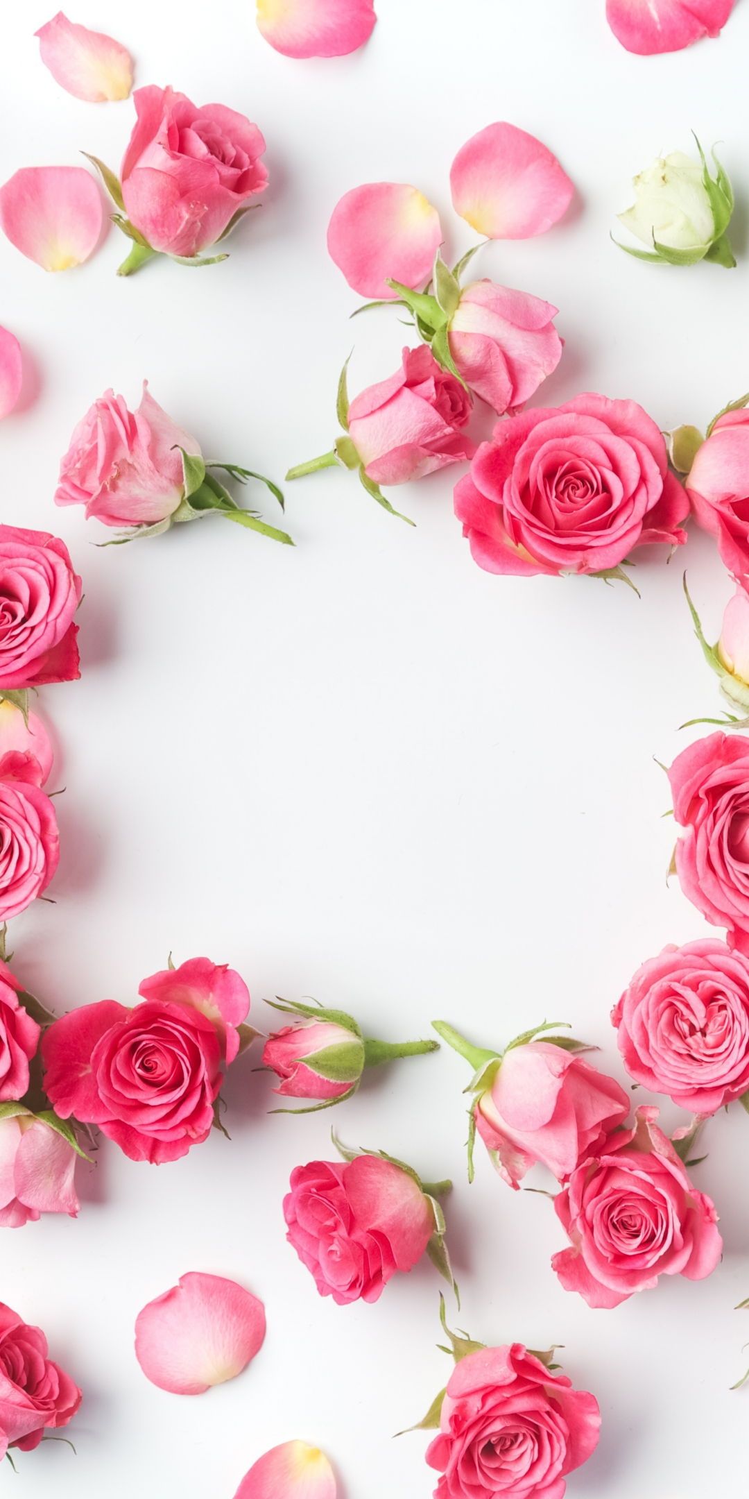 Flowers, petals, pink roses, flowers, 1080x2160 wallpaper