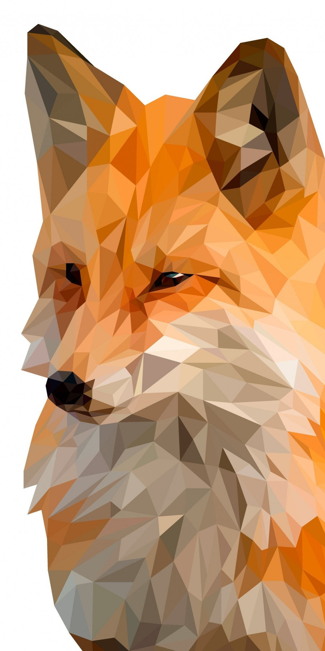 Fox, muzzle, digital art, low poly, 1080x2160 wallpaper