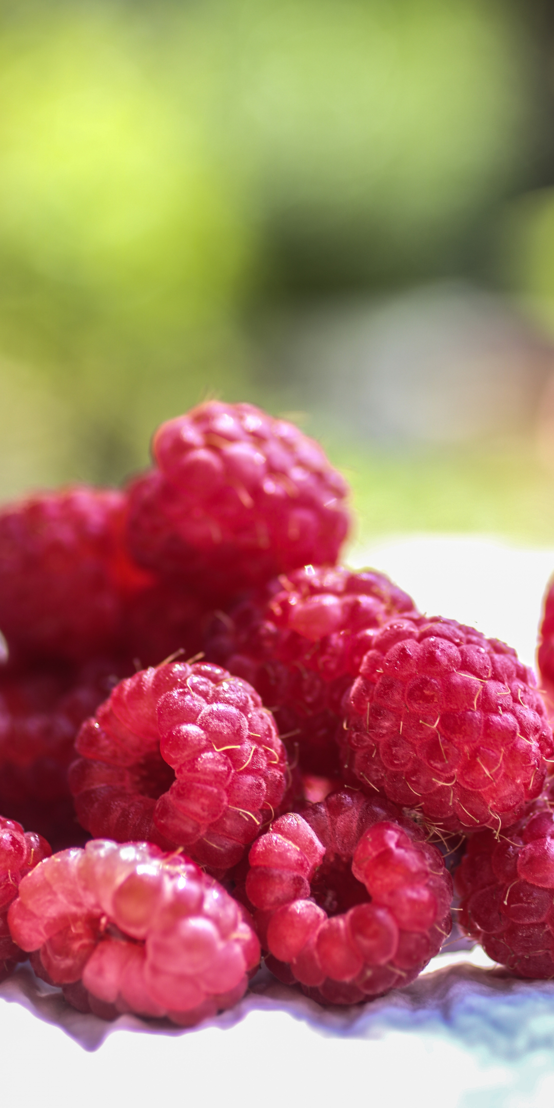 Raspberries, red fruits, close up, 1080x2160 wallpaper