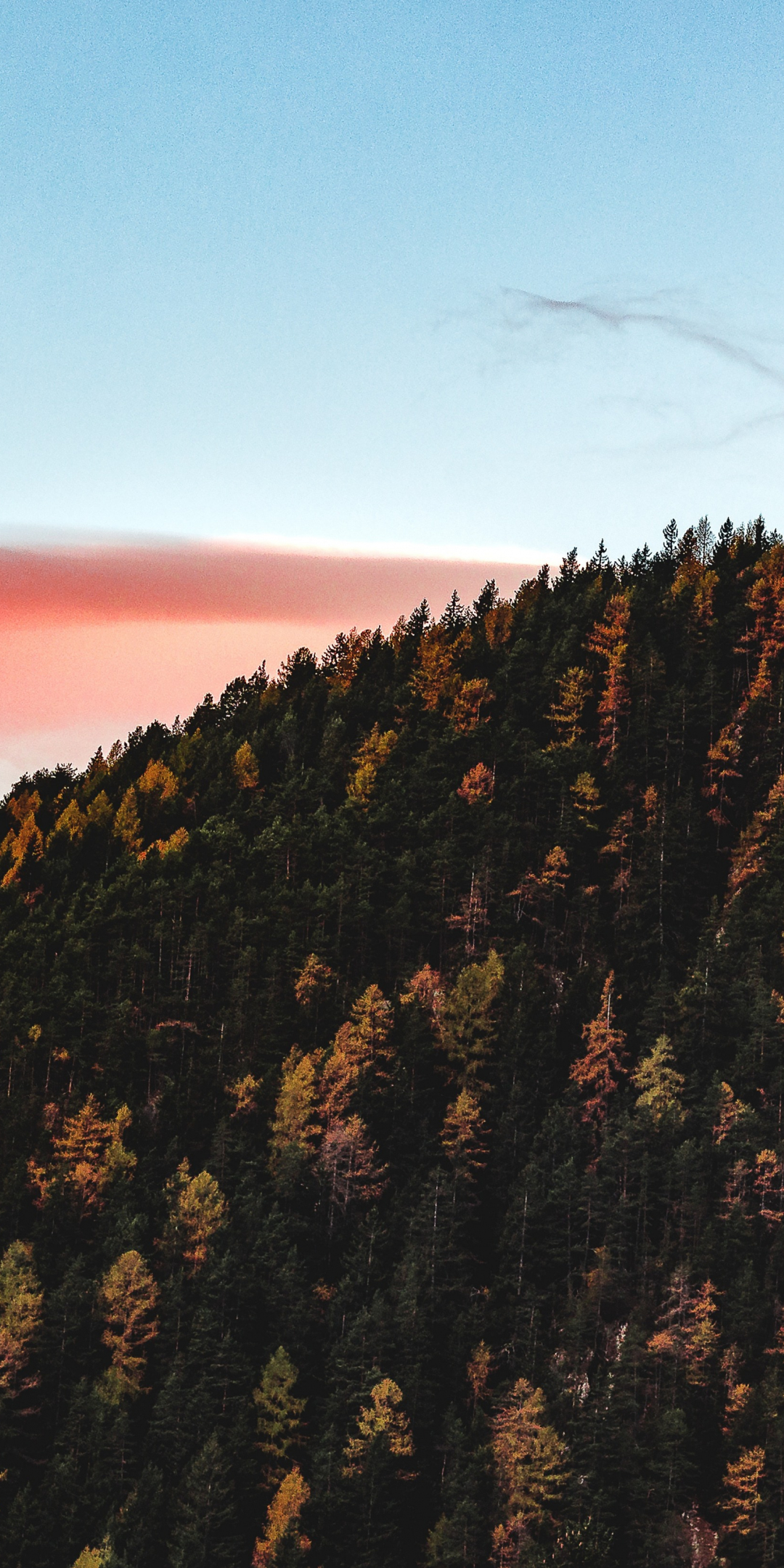Trees, sky, autumn, hill, 1080x2160 wallpaper