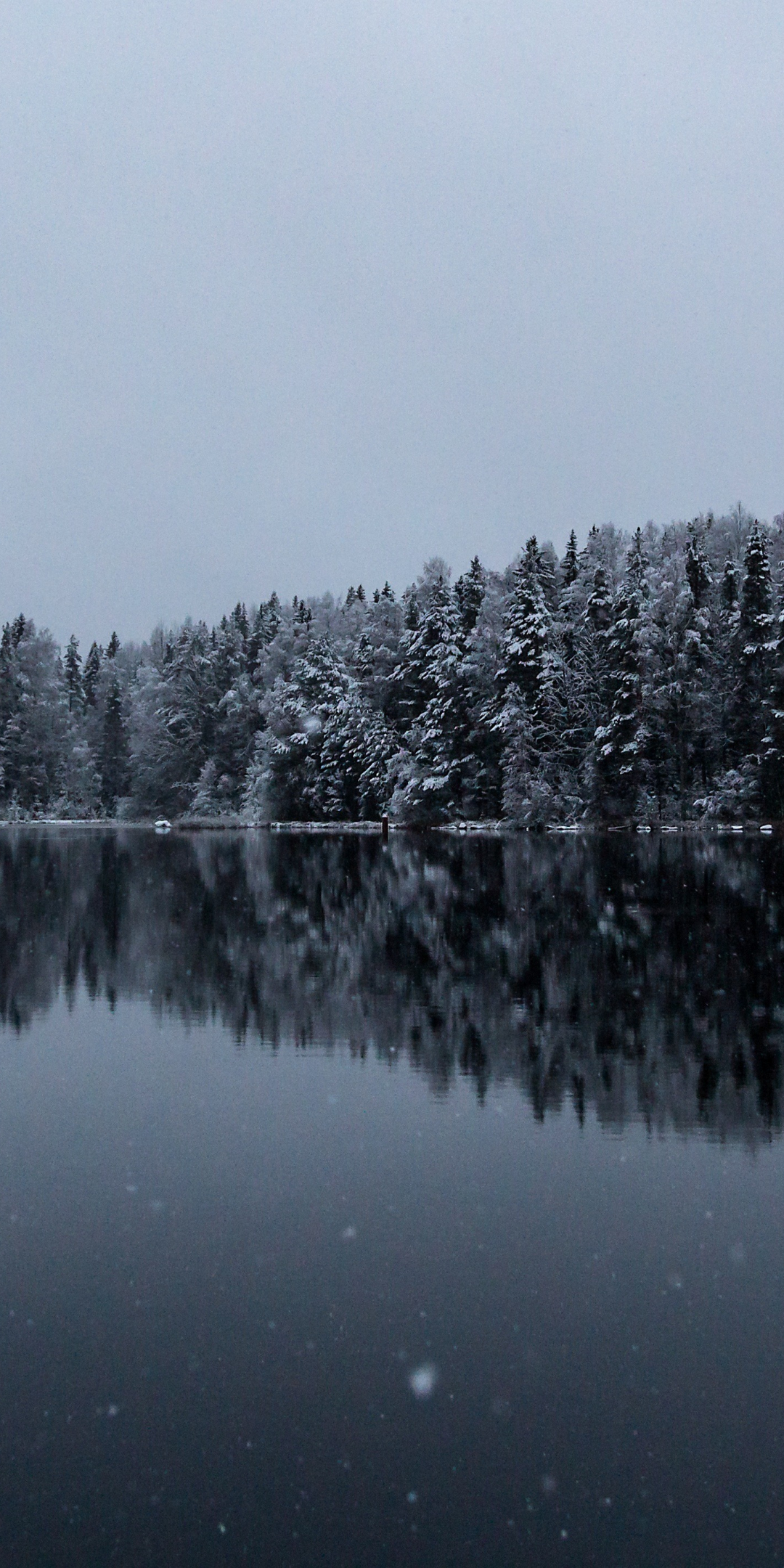 Winter, lake, reflections, 1080x2160 wallpaper