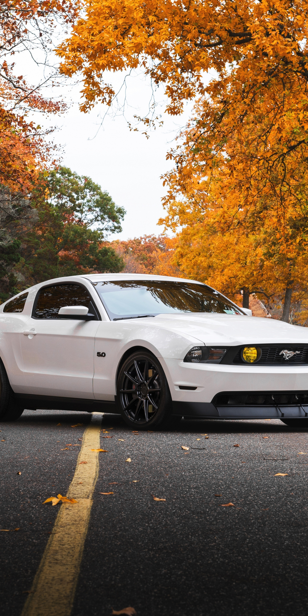White, Ford Mustang, sports car, 1080x2160 wallpaper