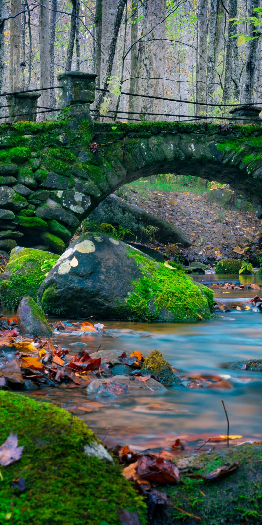 Moss, nature, rocks, stone bridge, river, 1080x2160 wallpaper