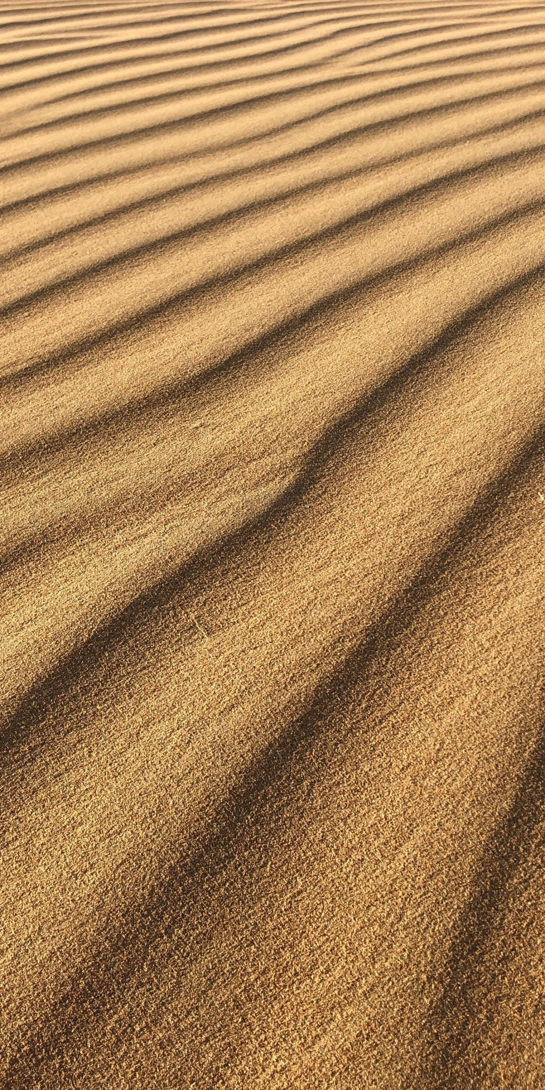 Sand, desert, texture, 1080x2160 wallpaper