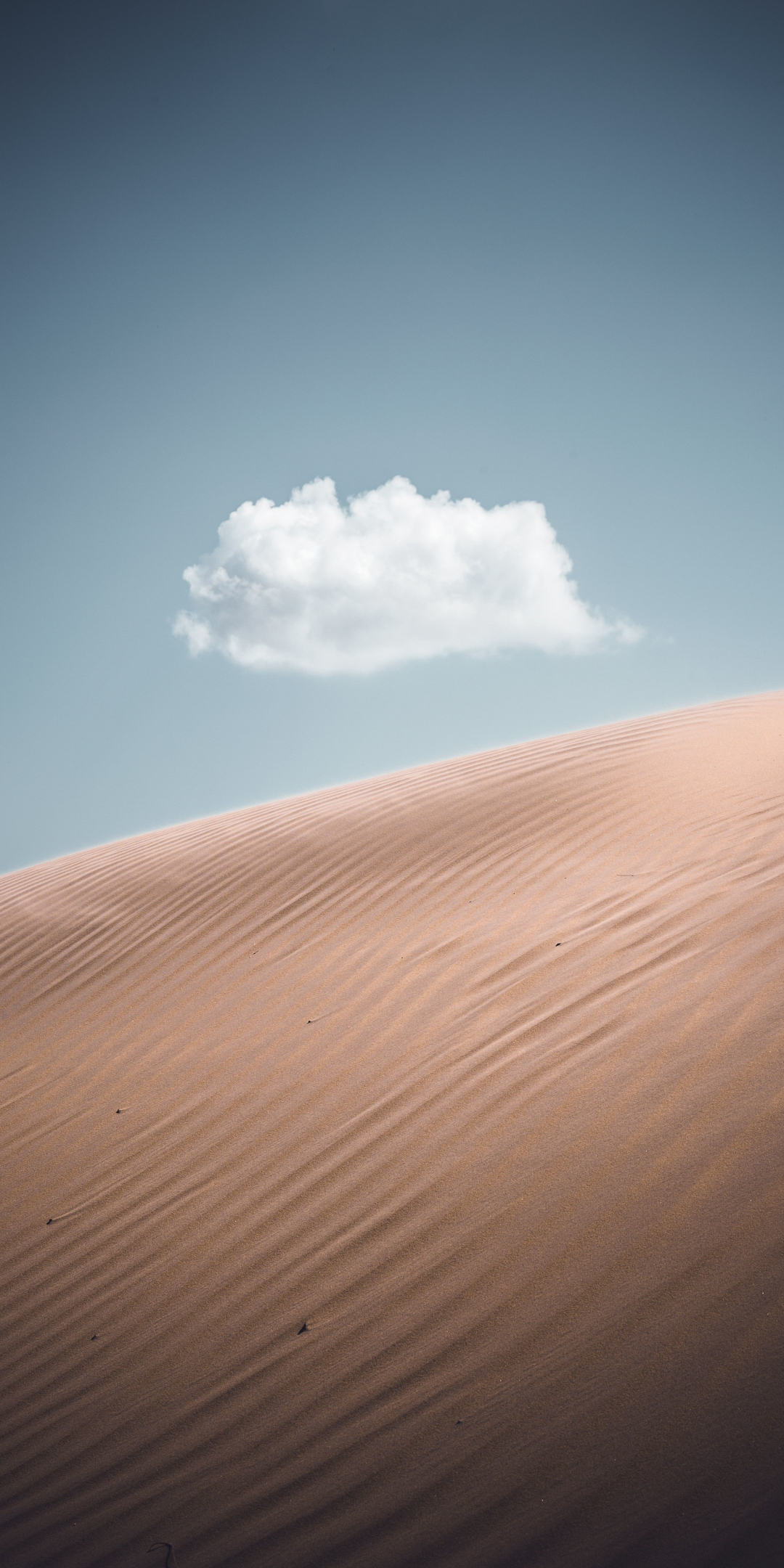 Rubjerg knude, sand, desert, 1080x2160 wallpaper