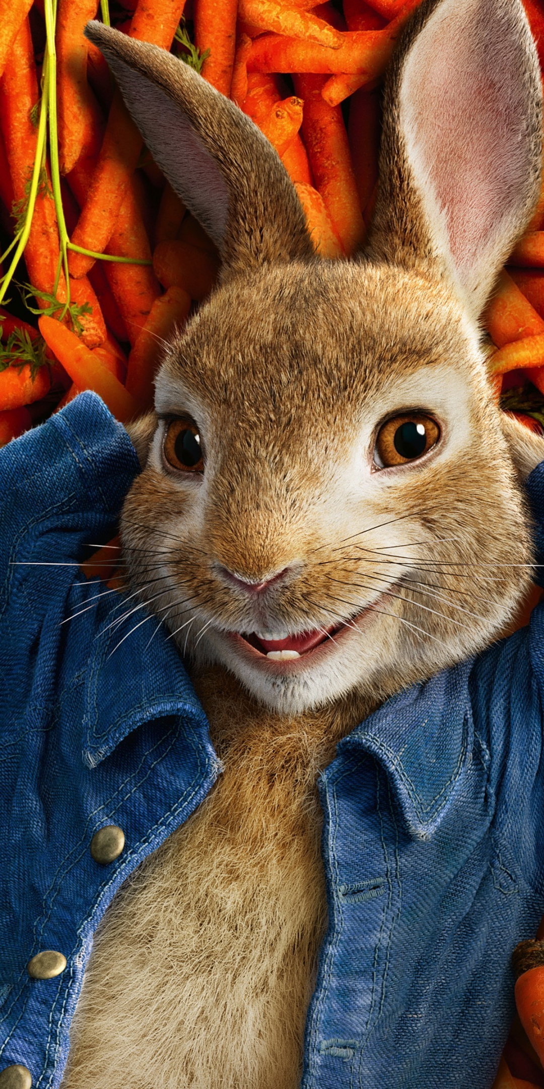 Peter rabbit, 2018, animation movie, 1080x2160 wallpaper