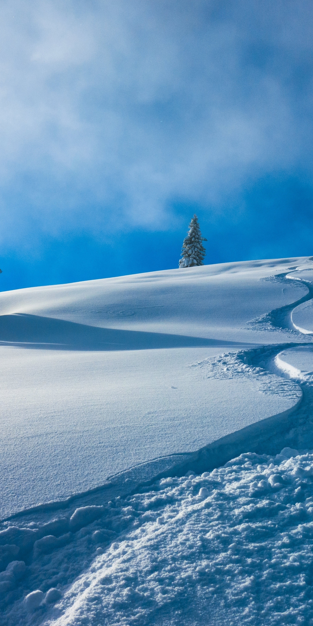 Austria's winter, landscape, winter, snow layer, 1080x2160 wallpaper