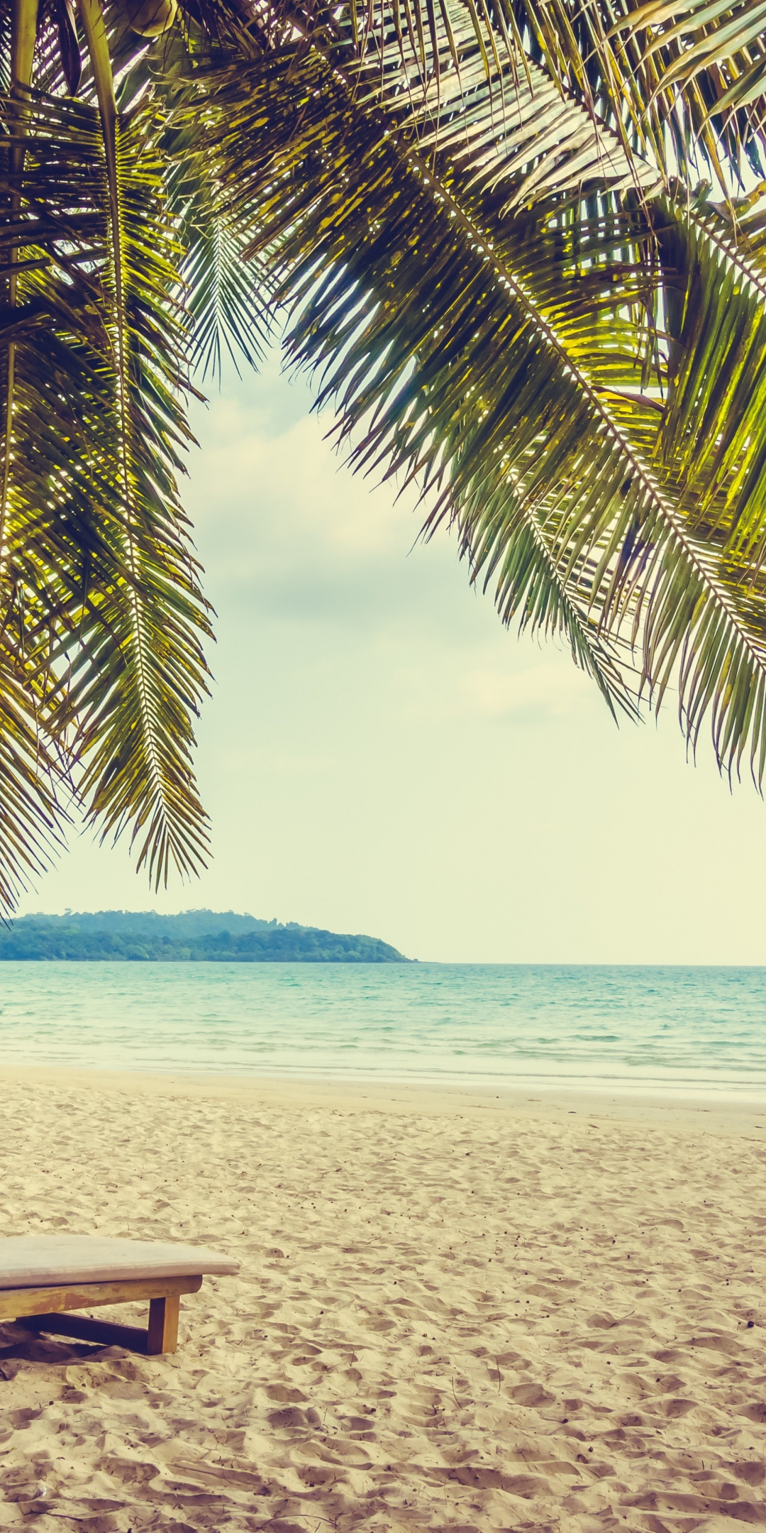 Palm tree, beach, sand, holiday, summer, 1080x2160 wallpaper