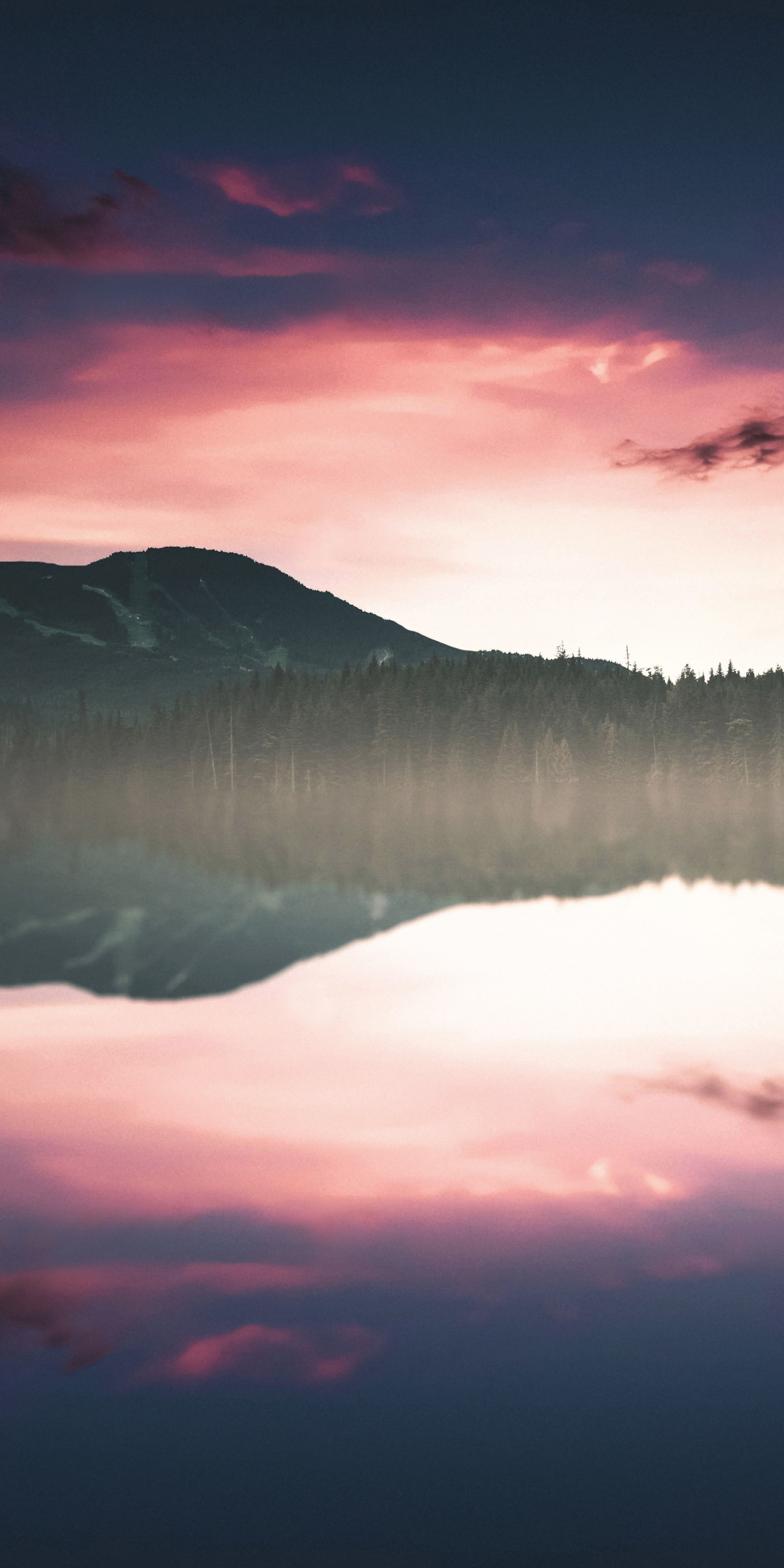 Nature, sunset, lake, tree, skyline, reflections, 1080x2160 wallpaper
