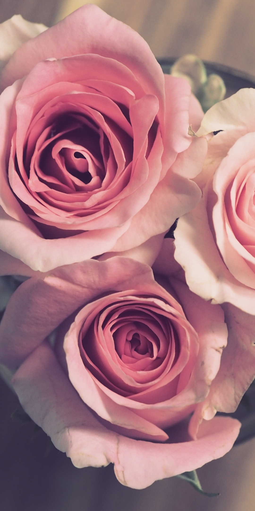 Bouquet, pink roses, bloom, 1080x2160 wallpaper