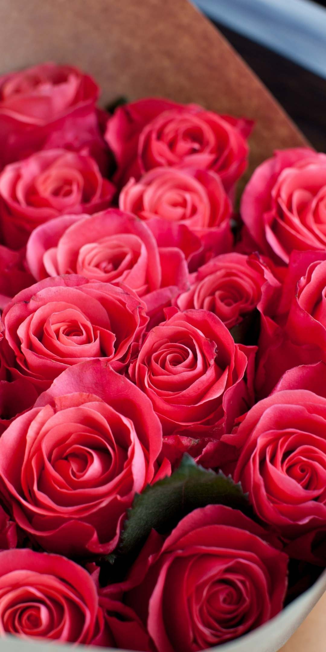 Red roses, bouquet, fresh flowers, 1080x2160 wallpaper