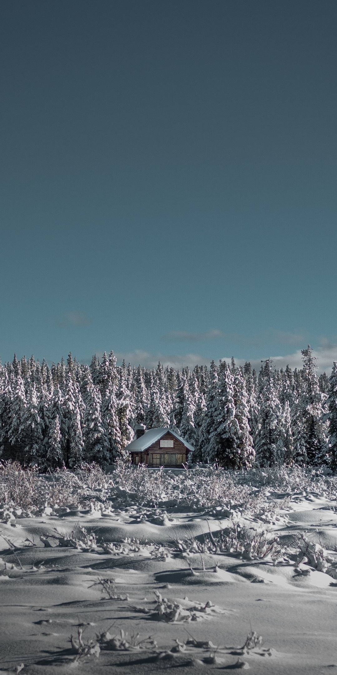 House, winter, tree, landscape, nature, 1080x2160 wallpaper