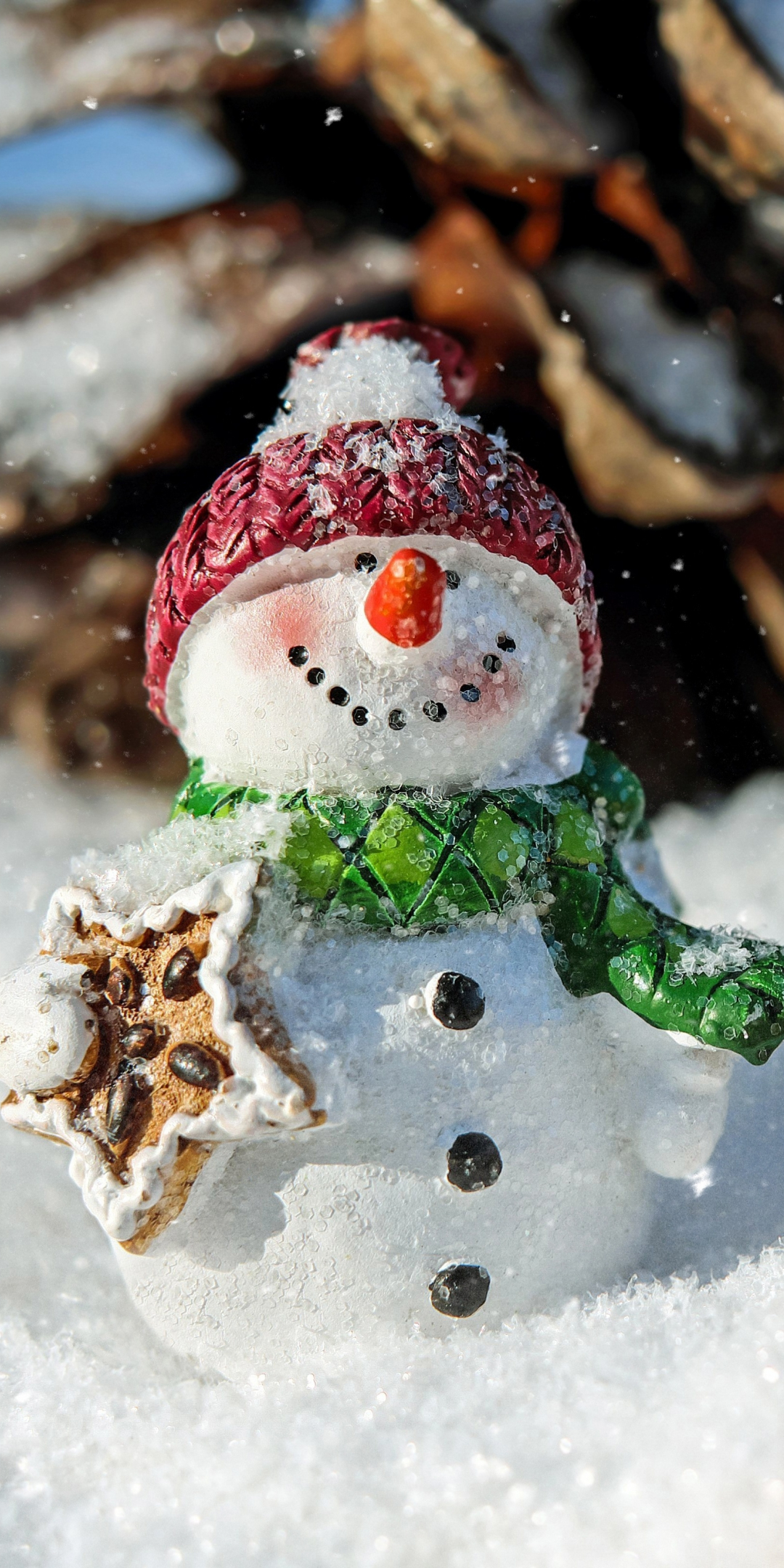Winter, snowman, funny, holiday, Christmas, 1080x2160 wallpaper