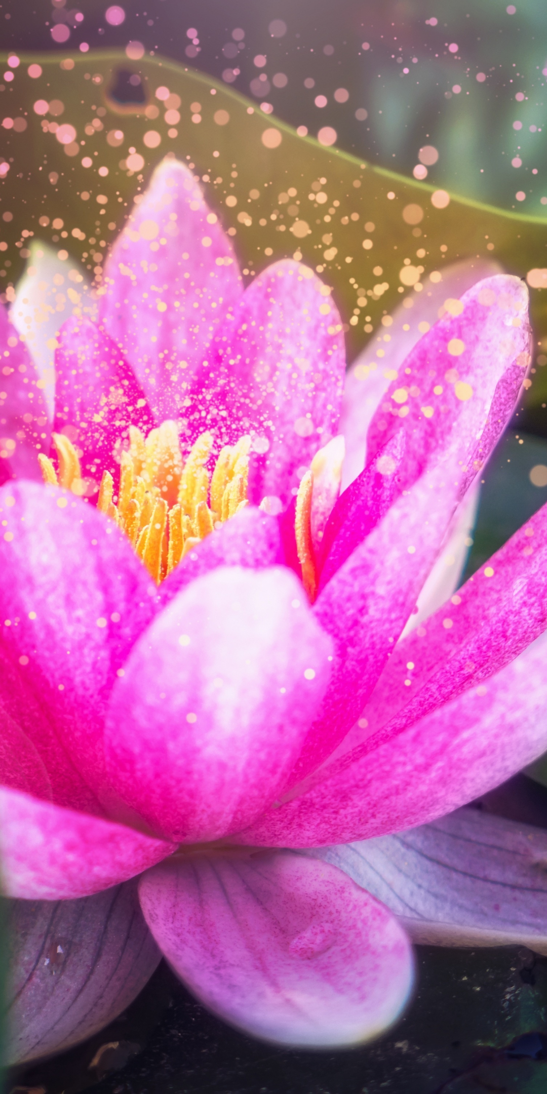 Digital art, lotus, glitter, close up, 1080x2160 wallpaper
