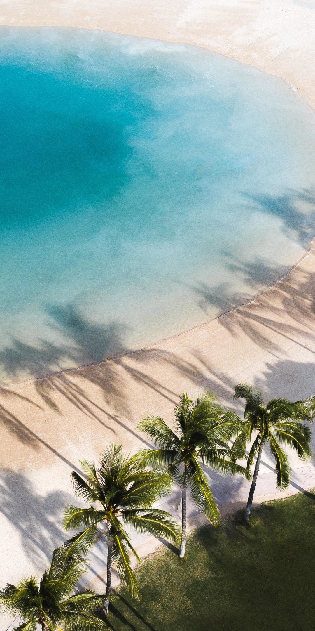 Aerial shot, beach, palms, nature, 1080x2160 wallpaper