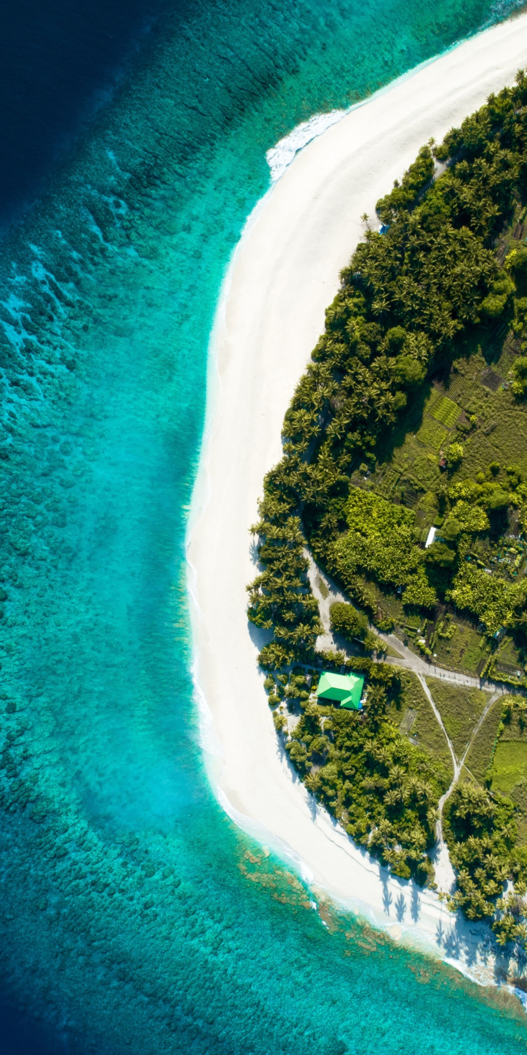 Tropical islands, Maldives, beach, aerial view, 1080x2160 wallpaper