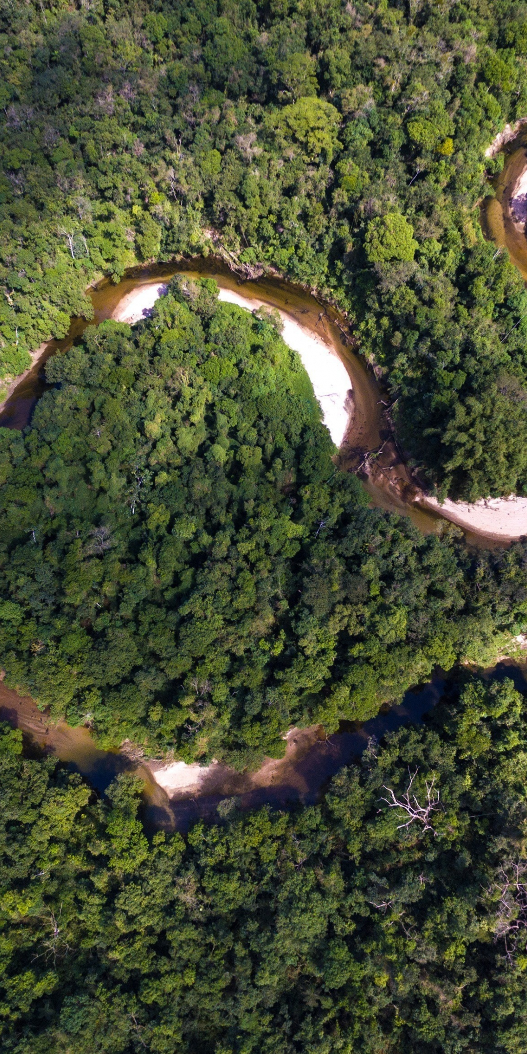 River, forest, nature, aerial view, trees, 1080x2160 wallpaper