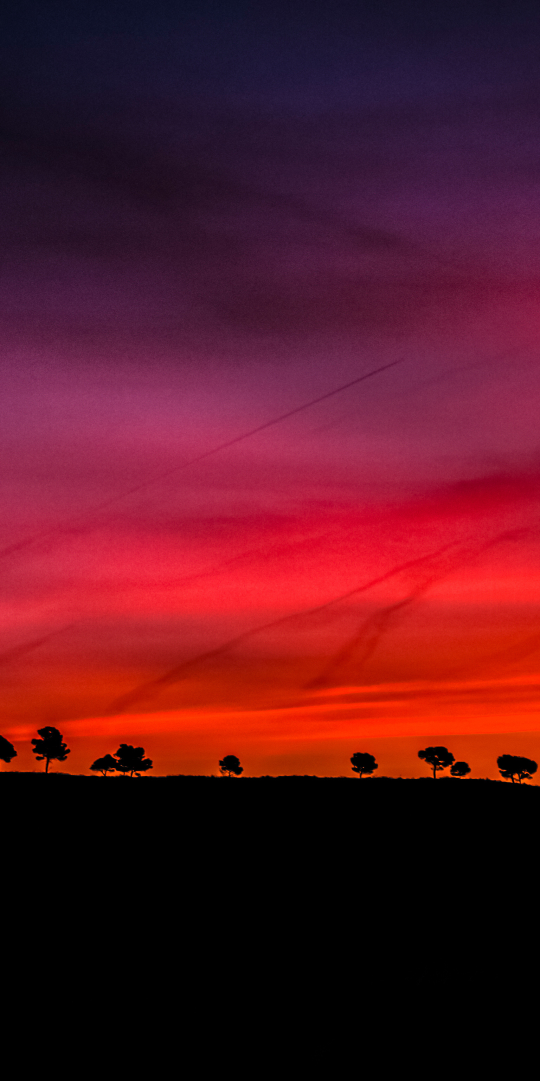 Silhouette, red sky, trees, sunset, 1080x2160 wallpaper