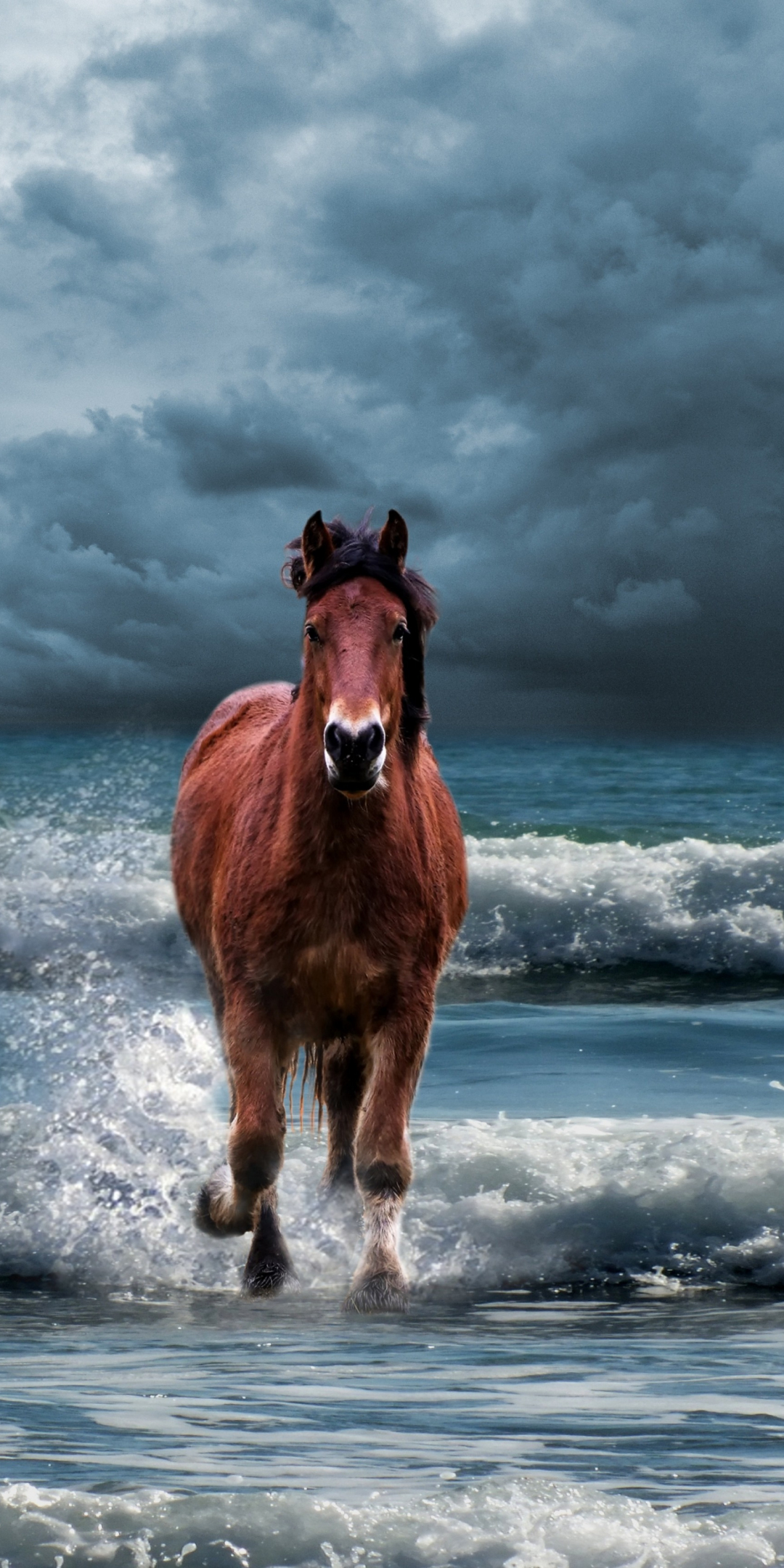 Horse, run, beach, sea waves, 1080x2160 wallpaper