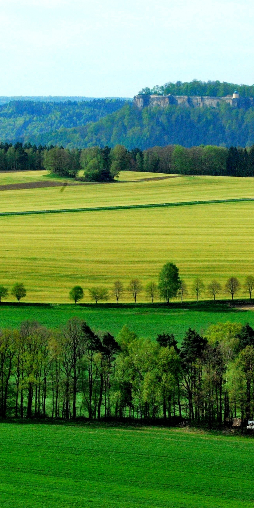 Farms, landscape, nature, trees, 1080x2160 wallpaper