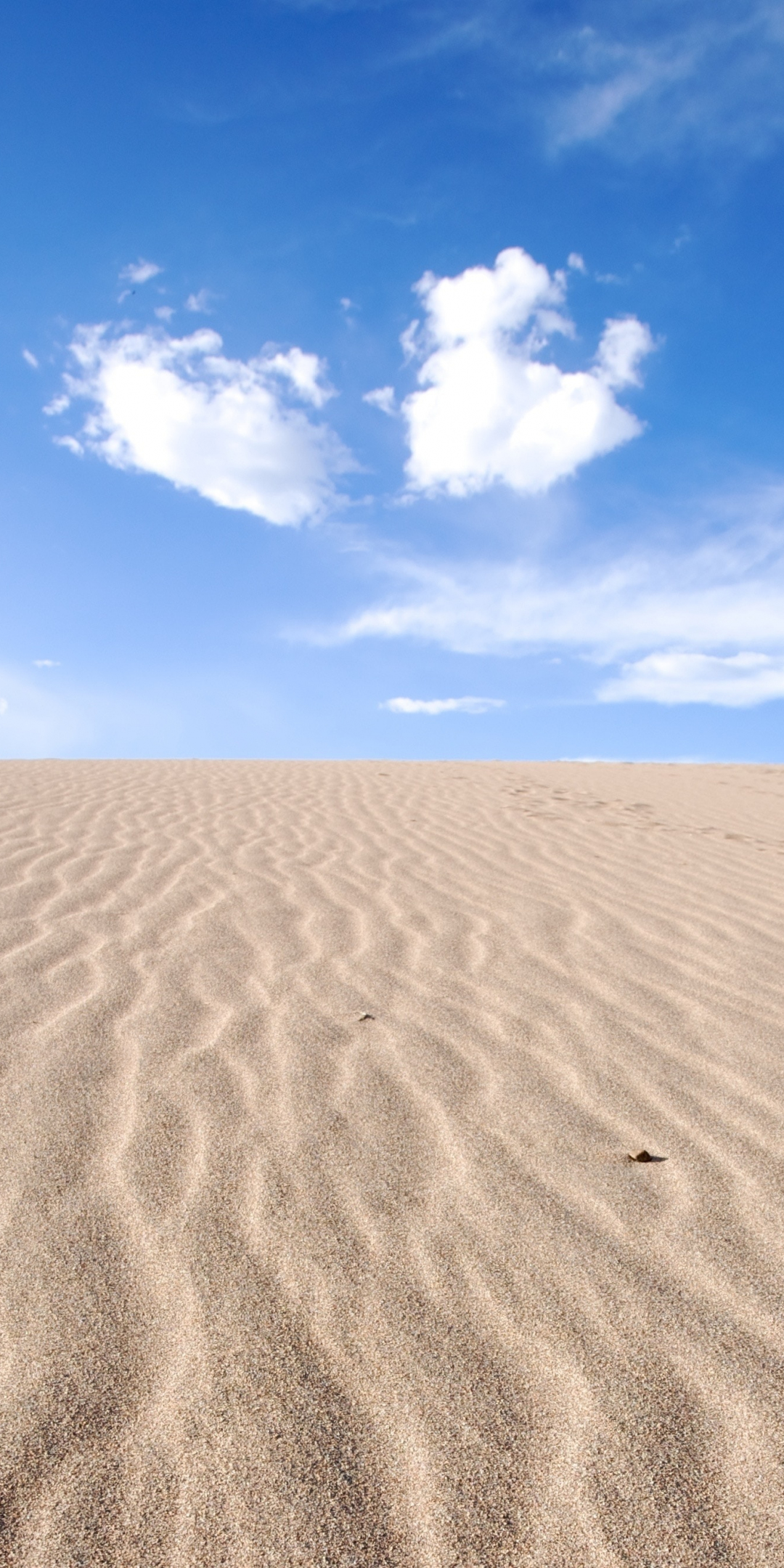 Desert, sand, sunny day, horizon, 1080x2160 wallpaper