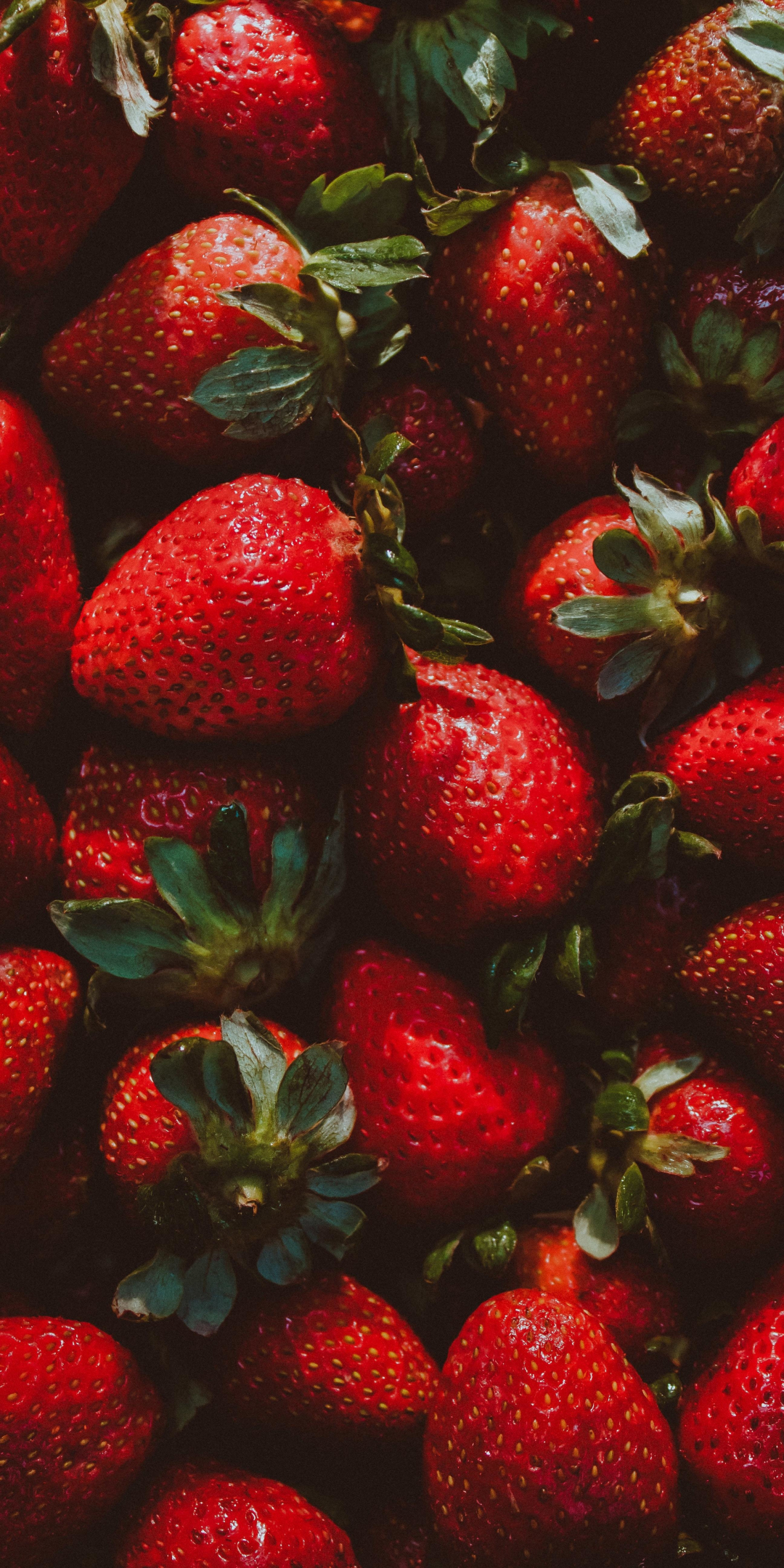 Strawberry, red fruit, fresh, 1080x2160 wallpaper