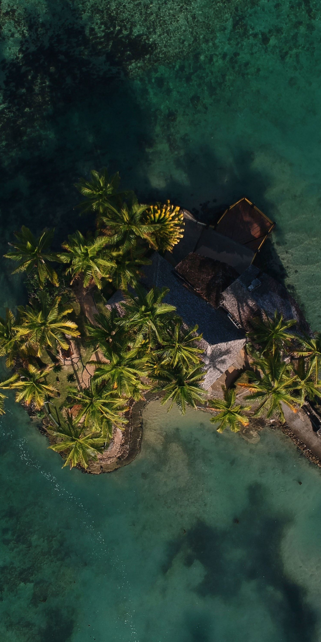 Warwick resort, Fiji, sea, holiday, aerial view, 1080x2160 wallpaper