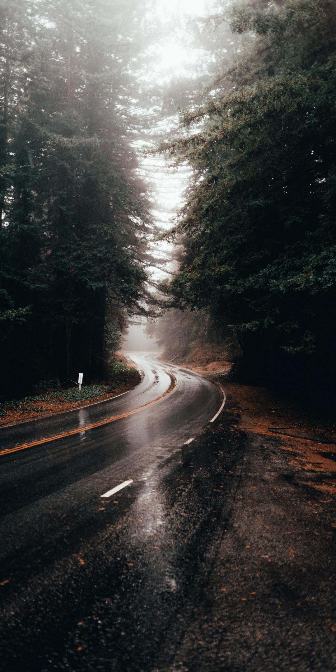 Highway turn, road, rainy, water on road, 1080x2160 wallpaper