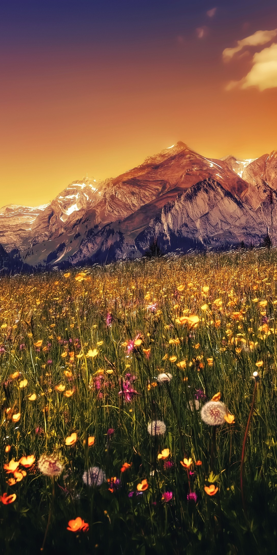 Landscape, plants, mountains, sunset, 1080x2160 wallpaper