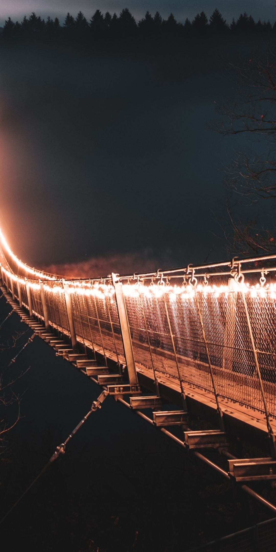 Lights on bridge, hanging bridge, night, 1080x2160 wallpaper
