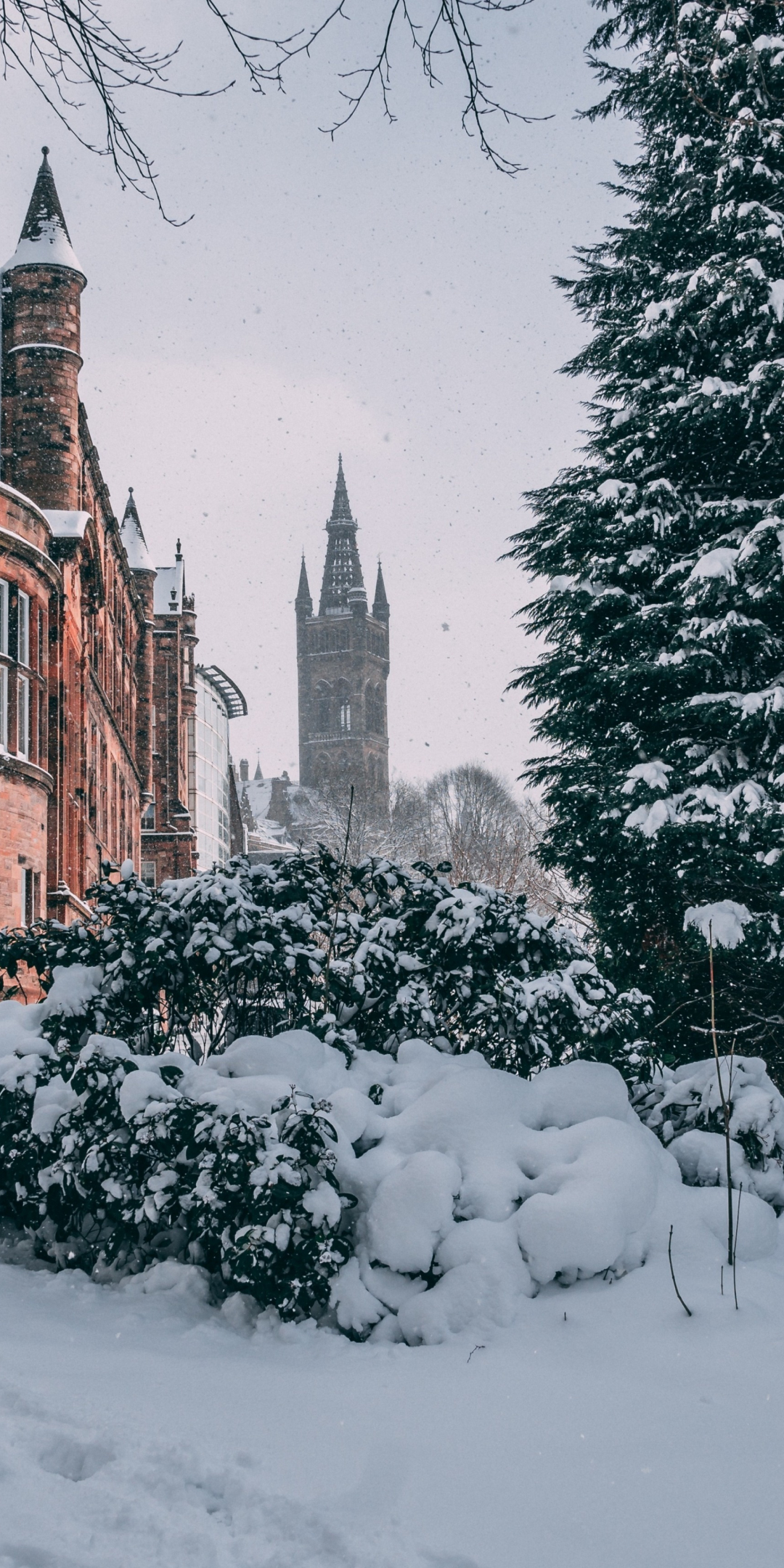 Glasgow, city, winter, buildings, 1080x2160 wallpaper