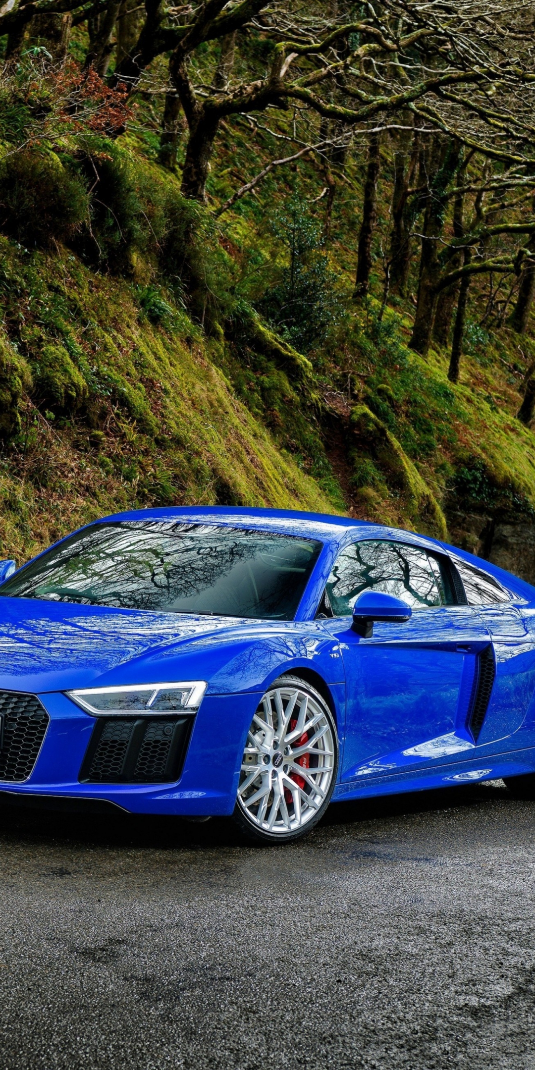 Audi R8, blue luxurious car, road, 1080x2160 wallpaper