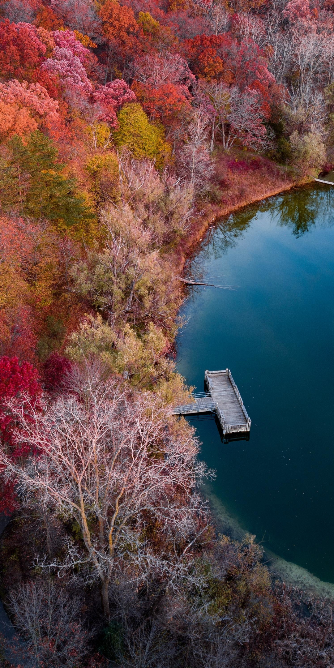 Lake, autumn, nature, aerial view, 1080x2160 wallpaper