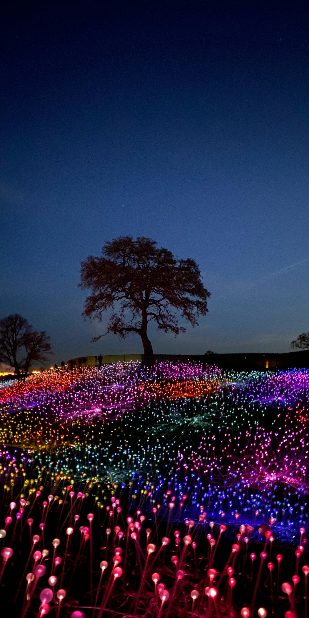 Glow flowers, tree, night, 1080x2160 wallpaper