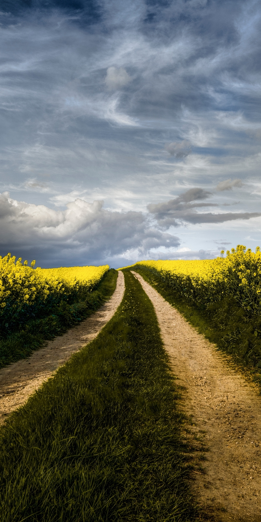 Pathway to farms, nature, 1080x2160 wallpaper