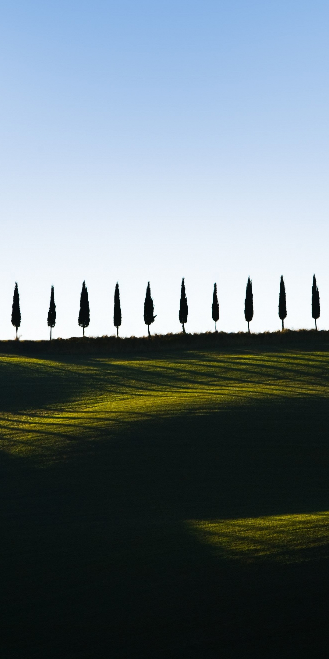 Green, landscape, sky, trees, minimal, 1080x2160 wallpaper