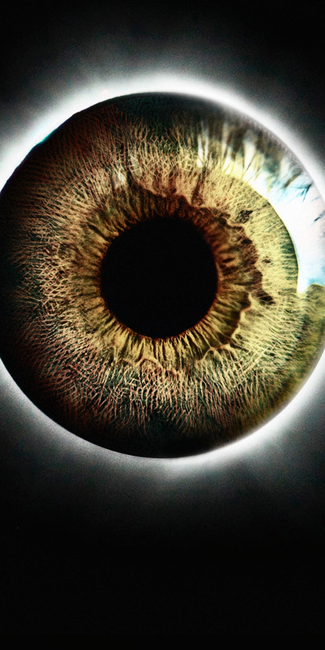 Eye, pupil, close up, realistic, art, 1080x2160 wallpaper