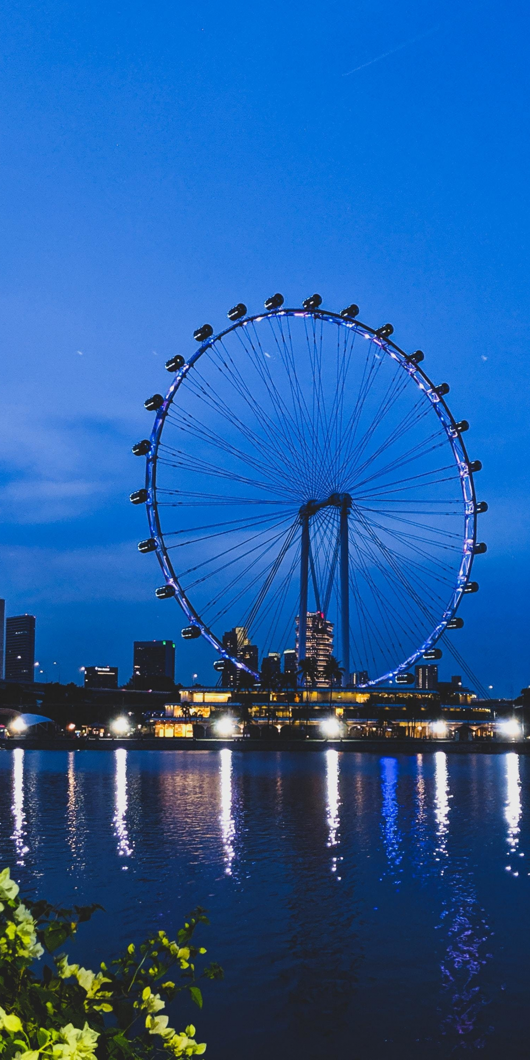 Ferris wheel, evening, cityscape, 1080x2160 wallpaper