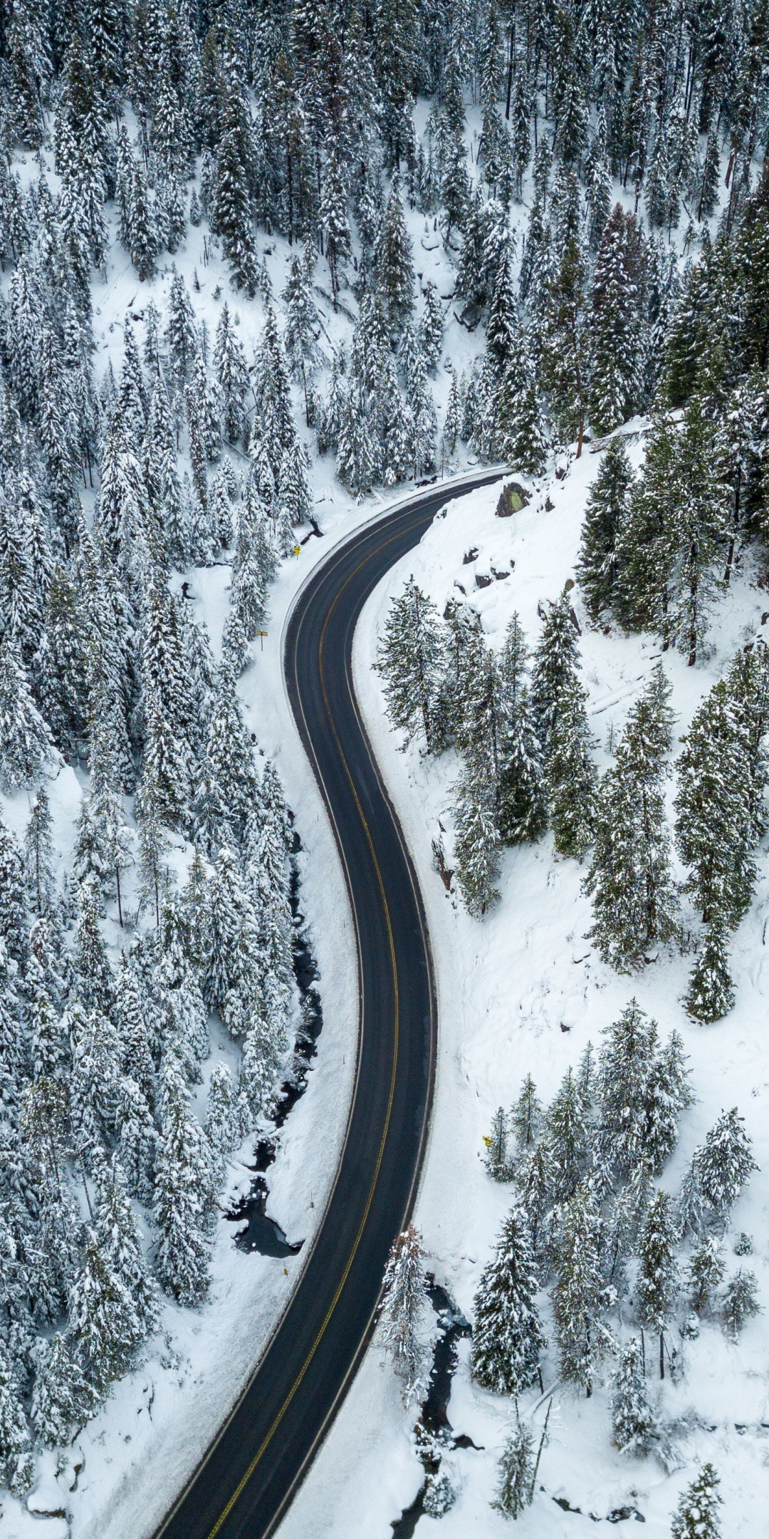 Nature, aerial view, highway, forest, 1080x2160 wallpaper