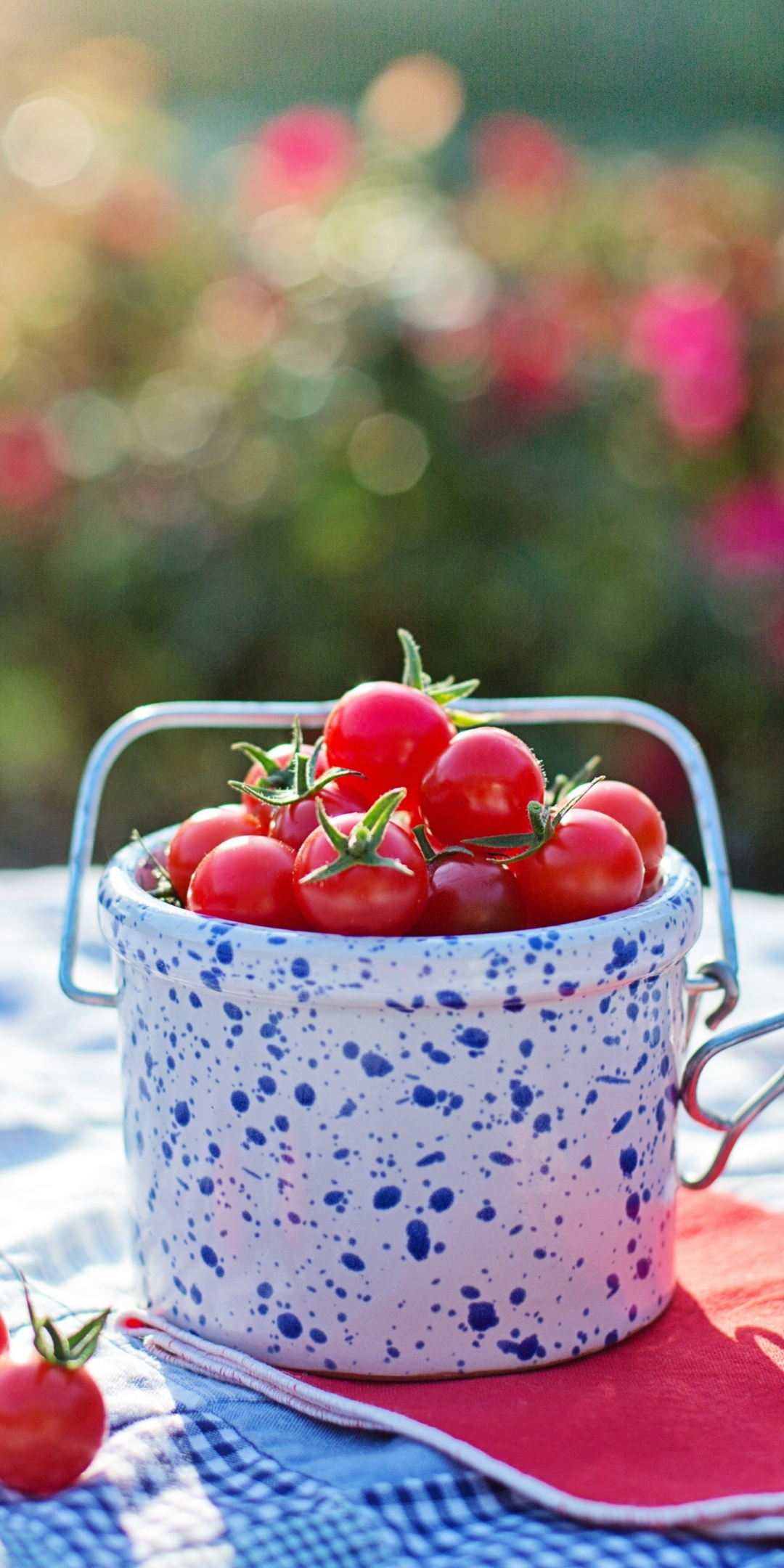 Cherry, tomatoes, dinning table, bottle, basket, 1080x2160 wallpaper