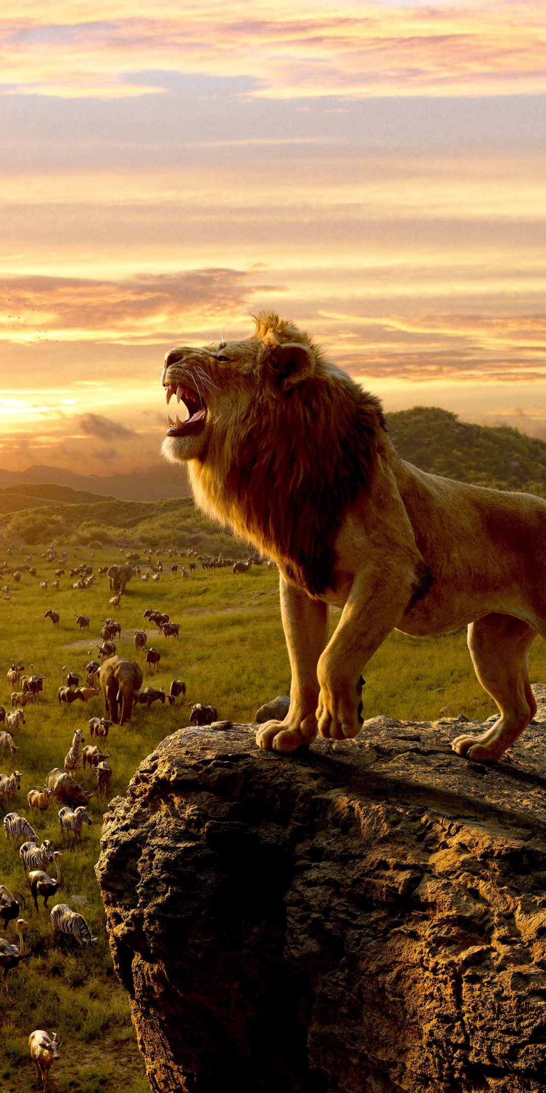 The Lion King, king of jungle, movie 2019, Simba, 1080x2160 wallpaper