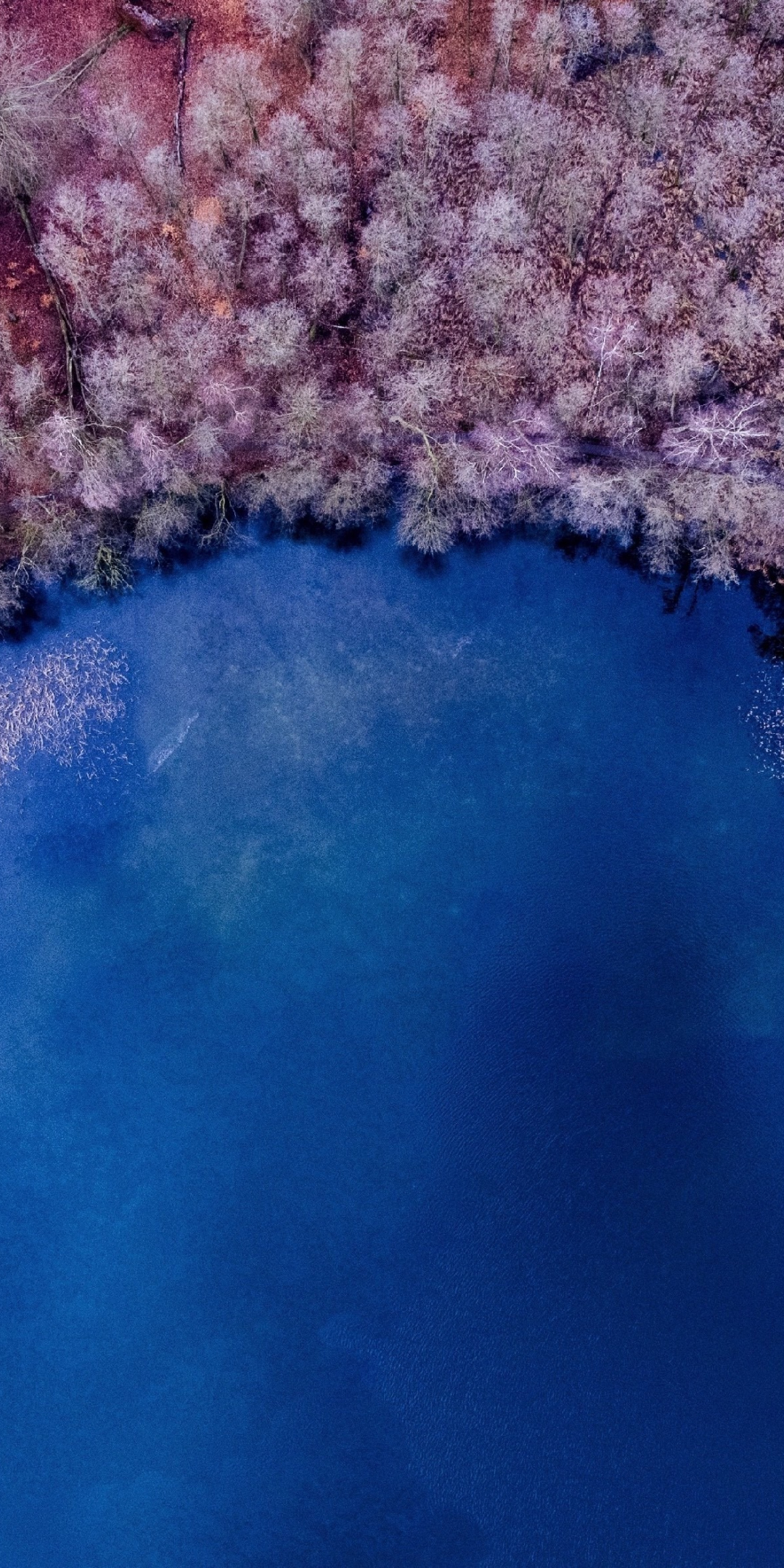 Nature, aerial view, color, lake, forest, colorful, 1080x2160 wallpaper