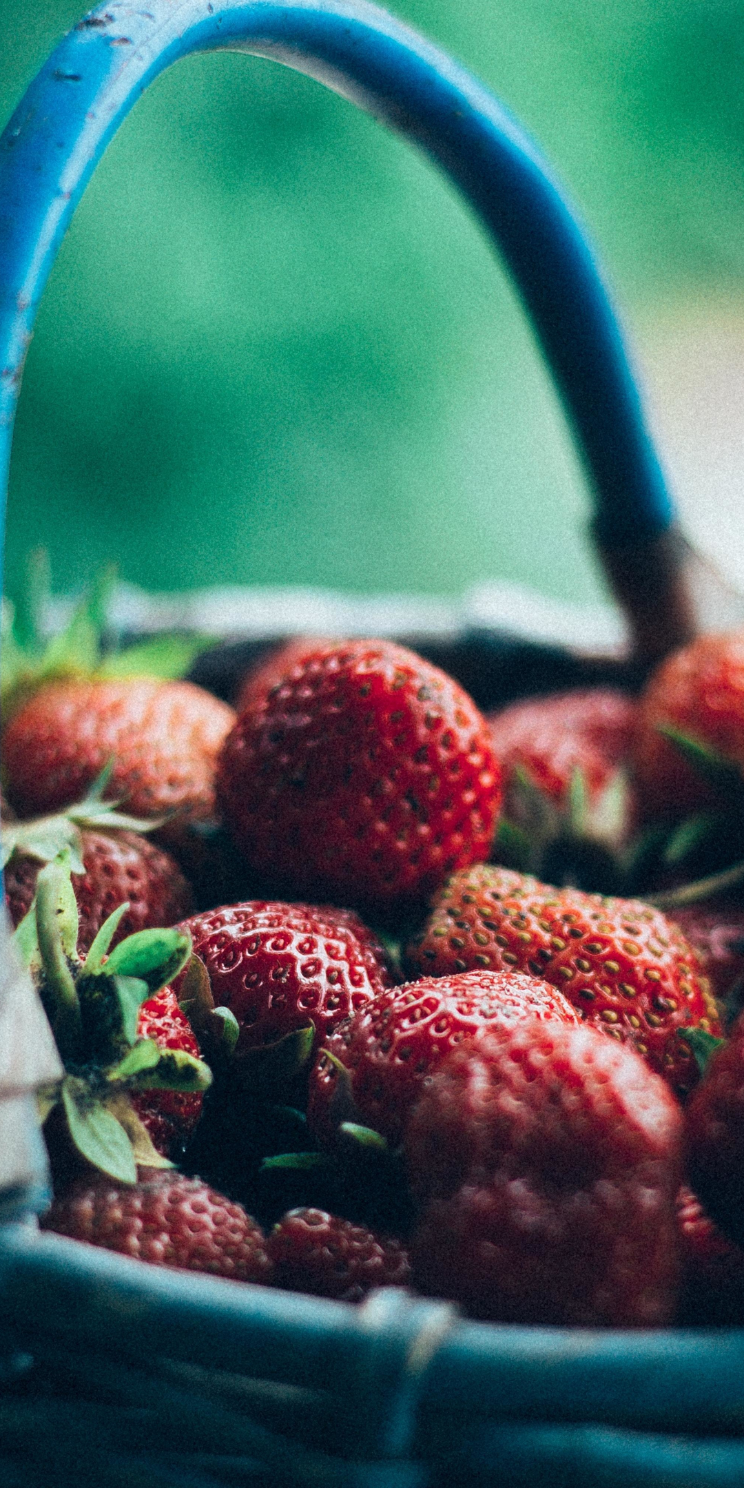 Strawberries, red, basket, 1080x2160 wallpaper