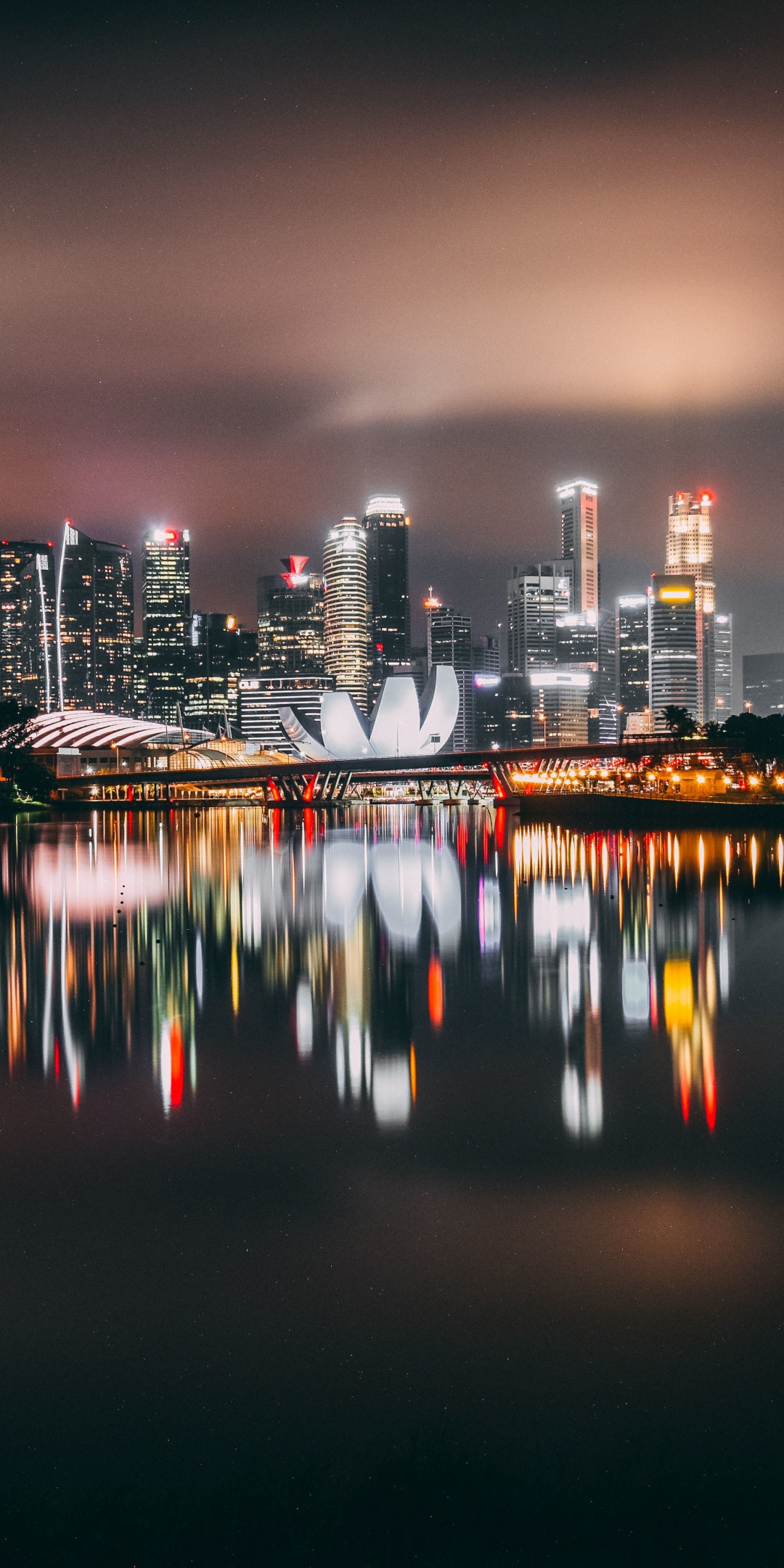 Singapore, city, skyscrapers, buildings, night, city, lights, reflections, 1080x2160 wallpaper
