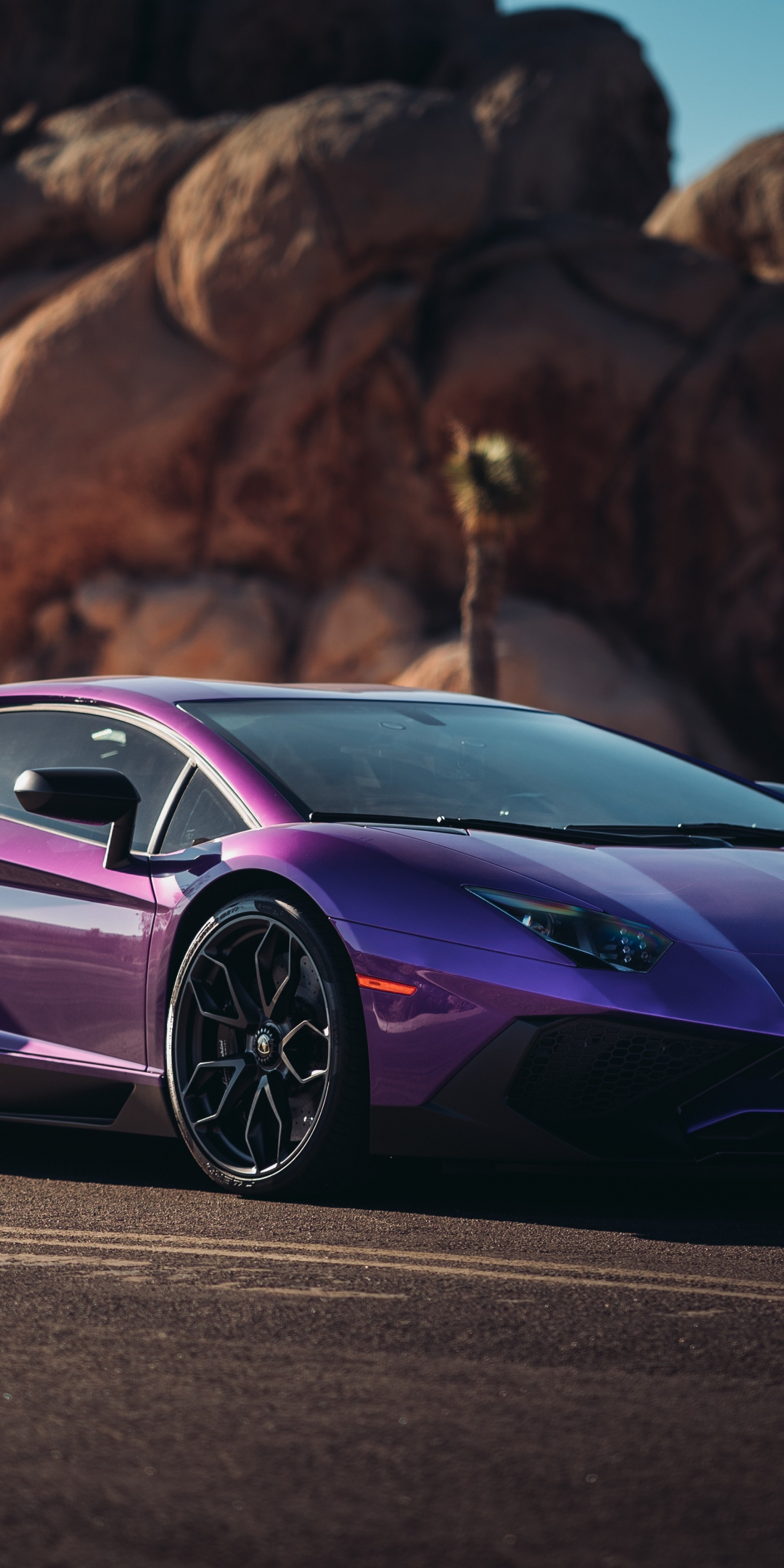 Lamborghini Aventador LP 750, sports car, purple, 1080x2160 wallpaper
