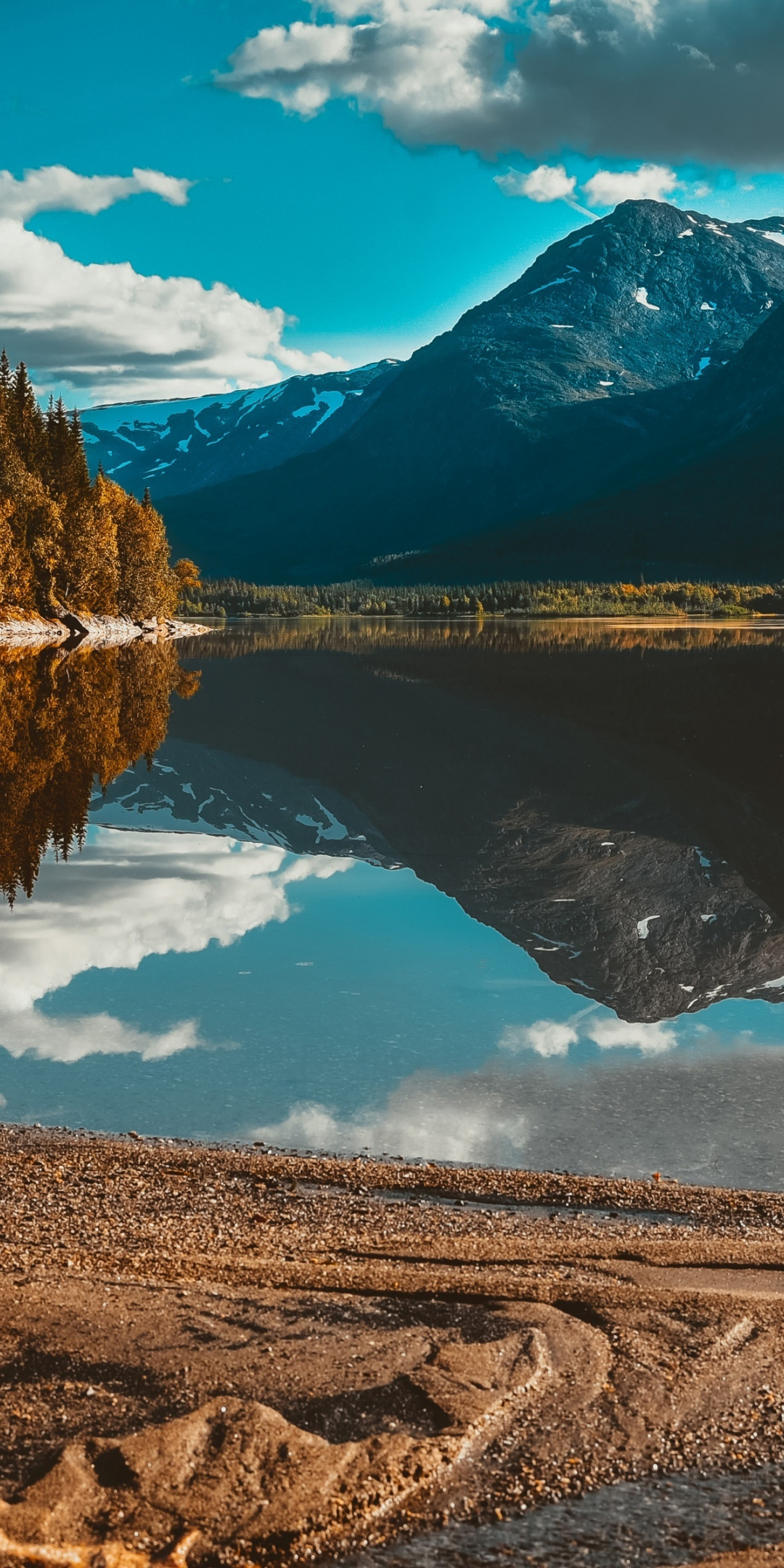 Lake, nature, trees, mountains, reflections, forest, 1080x2160 wallpaper